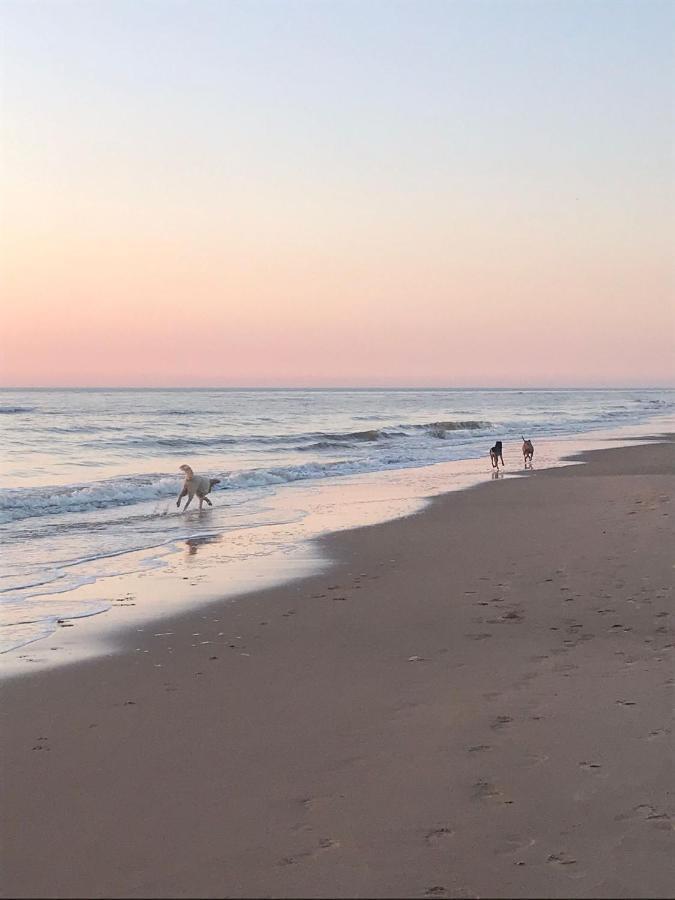Hippocampus Aan Zee Otel Katwijk aan Zee Dış mekan fotoğraf