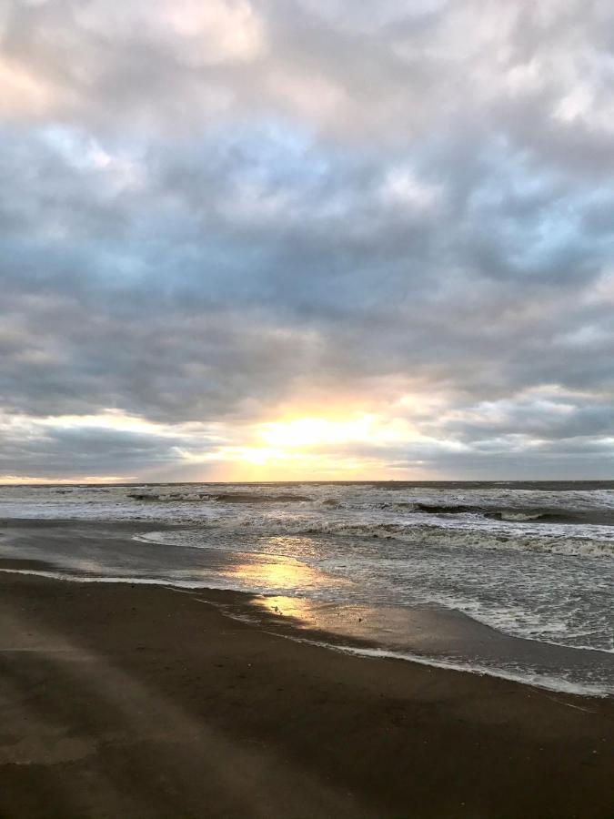 Hippocampus Aan Zee Otel Katwijk aan Zee Dış mekan fotoğraf